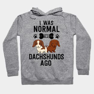 I Was Normal 2 Dachshunds Ago Red Piebald Doxie Dog Lover Hoodie